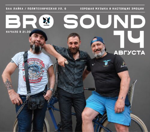 Фото Трио BRO Sound